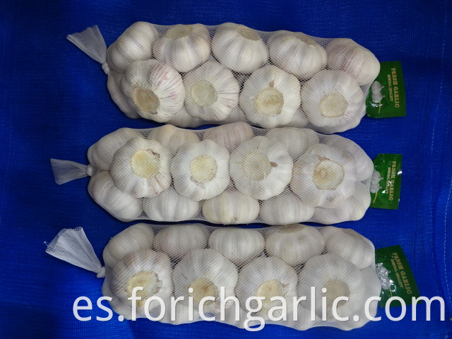 Normal White Garlic